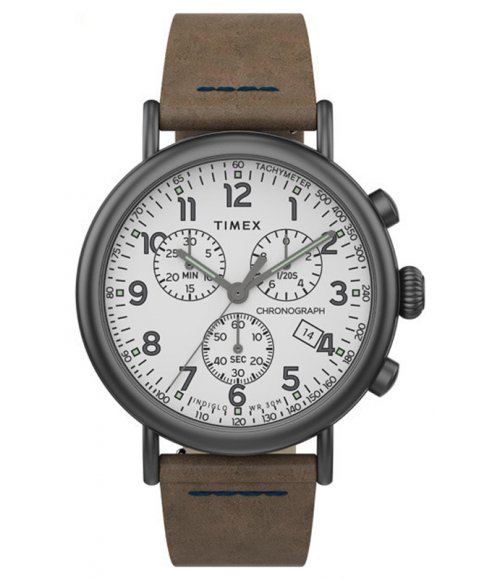 Timex Standard TW2T69000