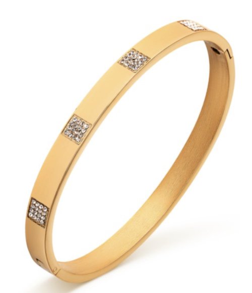Bransoleta Pierre Ricaud PR161.1WZ