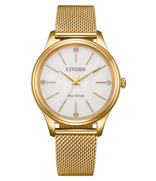 Citizen Eco-Drive Casual Dress EM1222-87A