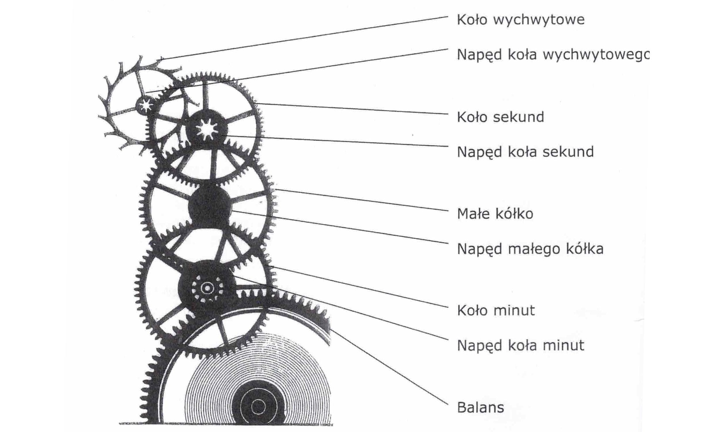 jak działa zegarek, budowa 